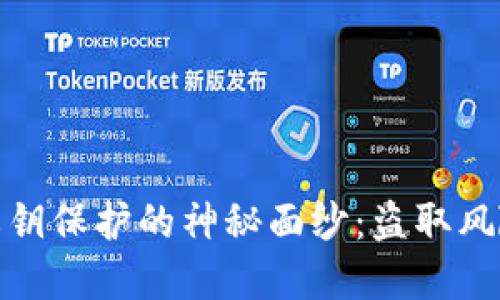 揭开冷钱包私钥保护的神秘面纱:盗取风险与防范措施