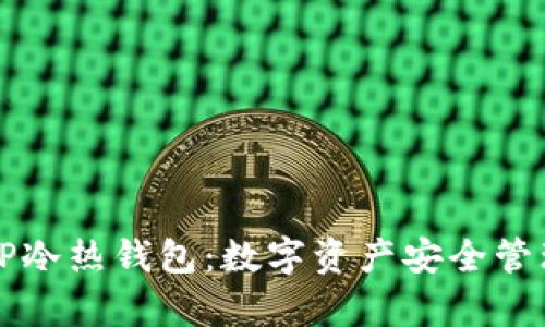 深入解析TP冷热钱包:数字资产安全管理的新篇章
