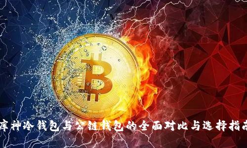 库神冷钱包与公链钱包的全面对比与选择指南