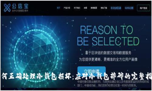如何正确处理冷钱包损坏:应对冷钱包摔碎的完整指南
