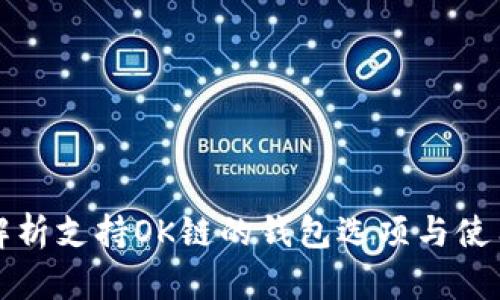 全面解析支持OK链的钱包选项与使用指南