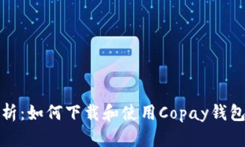 全面解析:如何下载和使用Copay钱包手机版