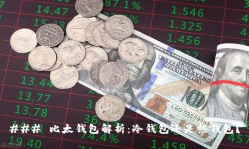 ### 比太钱包解析:冷钱包还是热钱包?