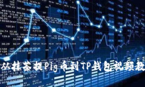 : 从抹茶提Pig币到TP钱包视频教程
