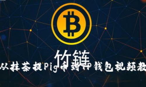 : 从抹茶提Pig币到TP钱包视频教程
