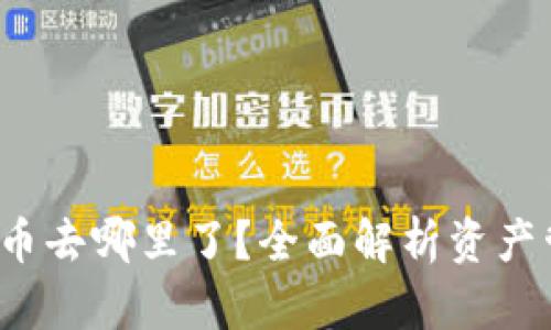 TP钱包收到的币去哪里了?全面解析资产管理与查询技巧