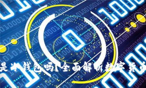 领英钱包是冷钱包吗?全面解析数字货币存储方式