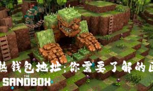 冷钱包与热钱包地址：你需要了解的区别与应用