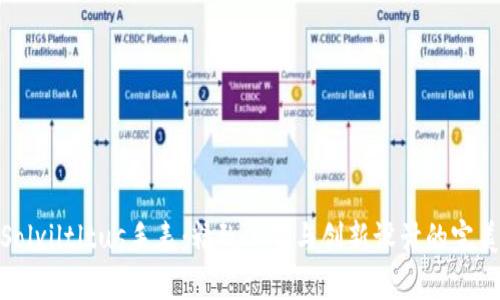 探索Solviltltus手表：精致工艺与创新设计的完美结合