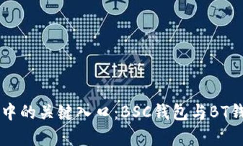 区块链世界中的关键入口：BSC钱包与BT钱包全面解析