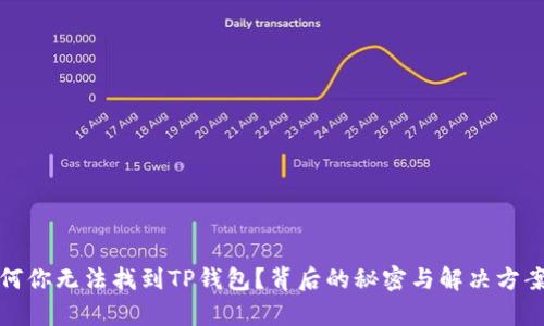 : 为何你无法找到TP钱包？背后的秘密与解决方案解析