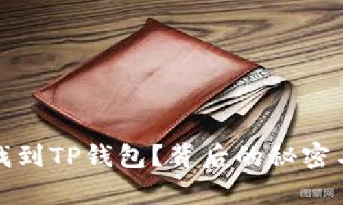 : 为何你无法找到TP钱包？背后的秘密与解决方案解析