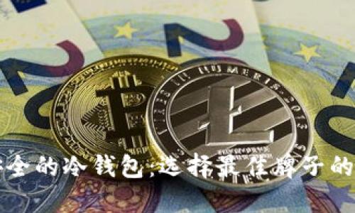 揭秘最安全的冷钱包：选择最佳牌子的全面指南