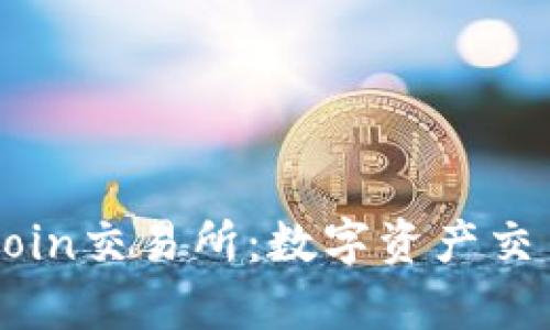 全面解析OKCoin交易所：数字资产交易的未来选择