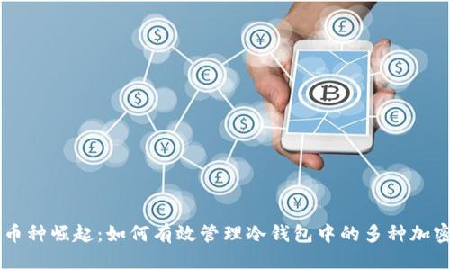 新兴币种崛起：如何有效管理冷钱包中的多种加密货币