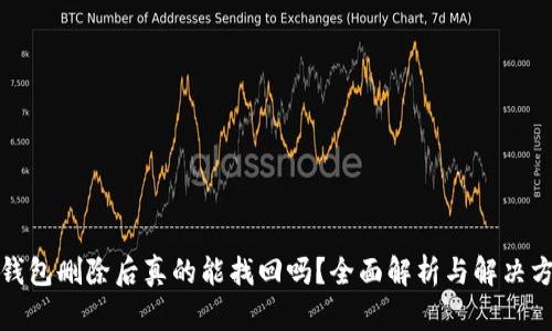 TP钱包删除后真的能找回吗？全面解析与解决方案
