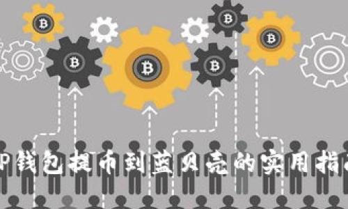 TP钱包提币到蓝贝壳的实用指南