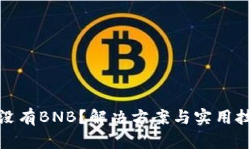 TP钱包没有BNB？解决方案与实用技巧详解