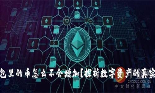 TP钱包里的币怎么不会增加？探析数字资产的真实价值
