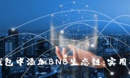 如何在TP钱包中添加BNB生态链：实用指南与技巧
