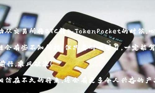   轻松给TokenPocket钱包充值：详细指南与实用技巧 / 

 guanjianci TokenPocket，充值，区块链 /guanjianci 

一、什么是TokenPocket钱包？
在区块链时代，数字资产管理变得尤为重要。作为一种便捷的数字货币钱包，TokenPocket不仅支持多种数字资产的存储和管理，还具有跨链功能，允许用户在不同的区块链之间转移资产。TokenPocket钱包的界面友好，方便用户进行资产操作，成为了许多区块链爱好者的首选。

我记得第一次接触数字货币的时候，是一位朋友推荐我使用TokenPocket。那时候，我对区块链一无所知，仅仅是出于好奇下载了这个钱包。慢慢地，我开始了解它的用法和一些基本操作，如充值、转账、交易等，现在想来，那段探索的过程真是既有趣又充满了挑战。

二、如何给TokenPocket钱包充值？
给TokenPocket钱包充值并不复杂，但在操作之前，我们需要了解一些基础知识。这里为大家梳理了几个步骤，帮助你轻松完成充值。

h4步骤一：下载TokenPocket钱包/h4
首先，你需要确保已经在手机或电脑上下载并安装了TokenPocket钱包。如果你是首次使用，可以在应用商店直接搜索“TokenPocket”进行下载，注册一个账户即可。

h4步骤二：选择充值方式/h4
TokenPocket钱包支持多种充值方式，包括通过个人的加密货币交易所转账，或使用支付方式进行购买。以下是几种常见的充值方式：
ul
    li通过交易所转账：你可以将你在其他交易所（如Binance, Huobi等）中的数字资产提取到TokenPocket钱包中。在交易所中选择“提币”，填写你TokenPocket的钱包地址，确认后等待资金到账。/li
    li直接购买：在TokenPocket钱包中，有一种直接通过信用卡或其他支付方式购买数字资产的功能。这个方法非常方便，尤其对新手用户非常友好。/li
/ul

h4步骤三：进行转账操作/h4
假如你选择的是通过交易所转账，要特别注意填写钱包地址的正确性。每个钱包都有独特的地址，一旦填错，资产将无法找回。在交易所选择Token（如ETH、USDT等），输入数量，确认后完成提现操作。

h4步骤四：确认到账/h4
转账完成后，稍等片刻，回到TokenPocket钱包中查看资产是否到账。由于区块链的特点，交易可能需要一定的时间，通常不会超过30分钟。如果你长时间未到账，可以查看交易的状态，确保转账的交易记录。

三、充值注意事项
在给TokenPocket钱包充值的过程中，有几个事项需要特别注意：
ul
    li确保网络安全：在进行充值操作时，务必在稳定且安全的网络下进行，避免使用公共Wi-Fi，以防资产被盗取。/li
    li确认交易信息：每次转账前都要仔细核对钱包地址和金额，确保无误后再进行操作。/li
    li选择合适的币种：在转账之前，请确认你的TokenPocket钱包是否支持你将要转账的数字资产，以免造成不必要的麻烦。/li
/ul

四、个人经历与总结
充值TokenPocket钱包的过程就像我第一次学习骑自行车似的，开始时可能会磕磕绊绊，但只要掌握了技巧，之后便能游刃有余。我记得第一次成功从交易所将BTC转入TokenPocket的时候，心中无比激动，仿佛自己第一次抓住了数字货币的脉搏。在这个过程中，我也结识了许多志同道合的朋友，我们分享彼此的经验，相互扶持，彼此成就。

通过TokenPocket钱包，不仅提升了我对区块链技术的理解，还让我在这个新兴的金融生态中找到了自己的位置。对于新手来说，可能刚接触区块链会有些不知所措，但只要耐心学习，一定能驾驭这项新技术。

希望这篇指南能为你在给TokenPocket钱包充值的过程中提供清晰的思路和实用的建议。无论你是新手还是老手，祝你在数字资产的世界中稳步前行，乘风破浪！

记得保持好奇心，探索区块链的每一个角落，迎接未来的发展机会。随着区块链技术的不断进步，我们的生活方式、财务管理都将迎来革命性变化，相信在不久的将来，还会有更多令人兴奋的产品和服务问世。