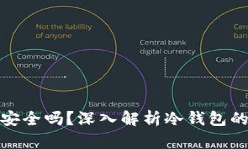 冷钱包里的币安全吗？深入解析冷钱包的安全性与风险