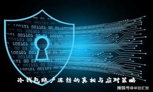 冷钱包账户冻结的真相与应对策略