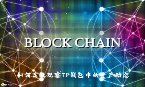如何高效观察TP钱包中的资产动态