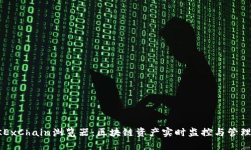 全面了解OKExChain浏览器：区块链资产实时监控与管理的实用工具