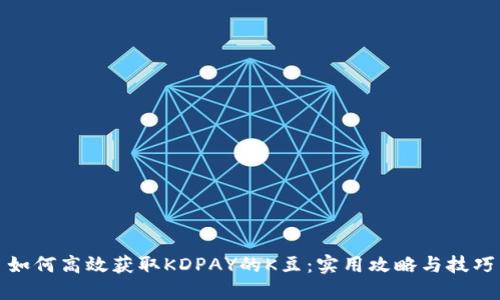 如何高效获取KDPAY的K豆：实用攻略与技巧
