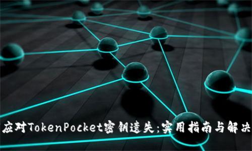 如何应对TokenPocket密钥遗失：实用指南与解决方案