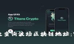 如何高效查询波场区块链地址：实用指南