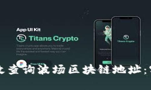 如何高效查询波场区块链地址：实用指南