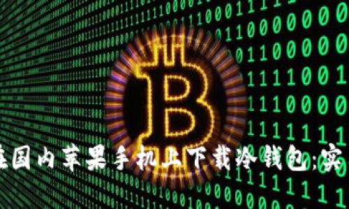 如何在国内苹果手机上下载冷钱包：实用指南