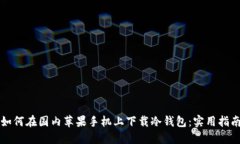如何在国内苹果手机上下载冷钱包：实用指南