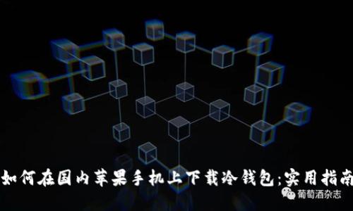 如何在国内苹果手机上下载冷钱包：实用指南