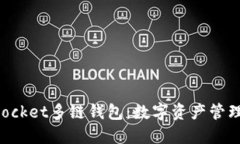 探索TokenPocket多链钱包：数字资产管理的完美伴侣