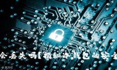 冷钱包里的币会丢失吗？揭秘冷钱包的安全性与