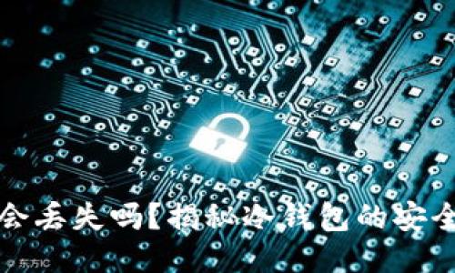 冷钱包里的币会丢失吗？揭秘冷钱包的安全性与使用技巧