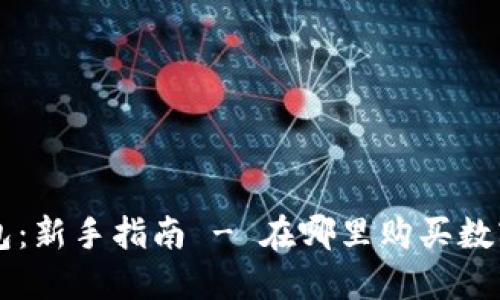 TP钱包：新手指南 - 在哪里购买数字货币