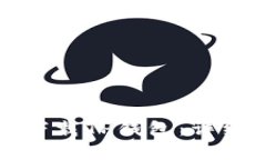 如何安全高效地下载TP钱包：详细步骤与实用技巧