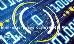 关于电脑版TP钱包（TokenPocket）是否支持BSC链（