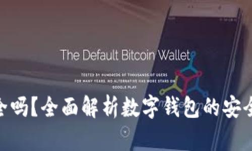 GOPAY钱包安全吗？全面解析数字钱包的安全性与使用体验