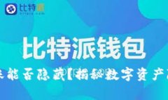 TP钱包转账能否隐藏？揭秘数字资产隐私的真相