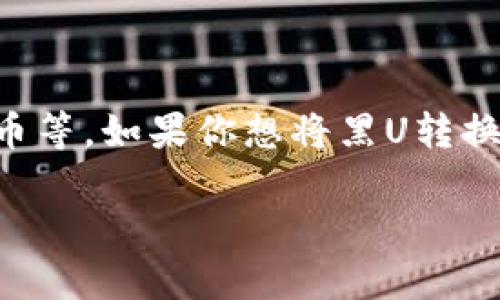 黑U（以太坊的黑币）暂时不支持直接存入TP钱包。TP钱包主要支持主流的加密货币，如以太坊、比特币等。如果你想将黑U转换至TP钱包，建议先将黑U兑换为支持的加密货币，再进行转账。具体操作可以参考相关交易所的教程。

如果还有其他关于加密货币或钱包的问题，欢迎随时提问！