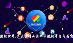 探索区块链世界：五大值得关注的区块链平台与