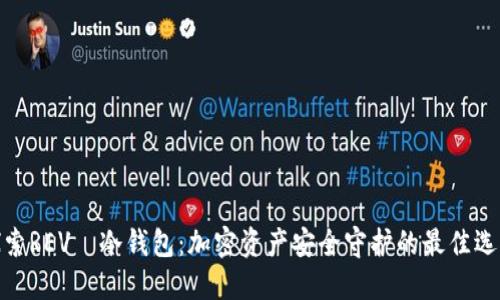 探索REVÉ冷钱包：加密资产安全守护的最佳选择