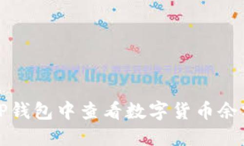 如何在TP钱包中查看数字货币余额与信息