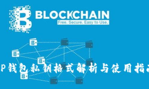 TP钱包私钥格式解析与使用指南