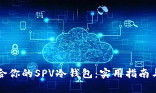 如何选择最适合你的SPV冷钱包：实用指南与个人经验分享